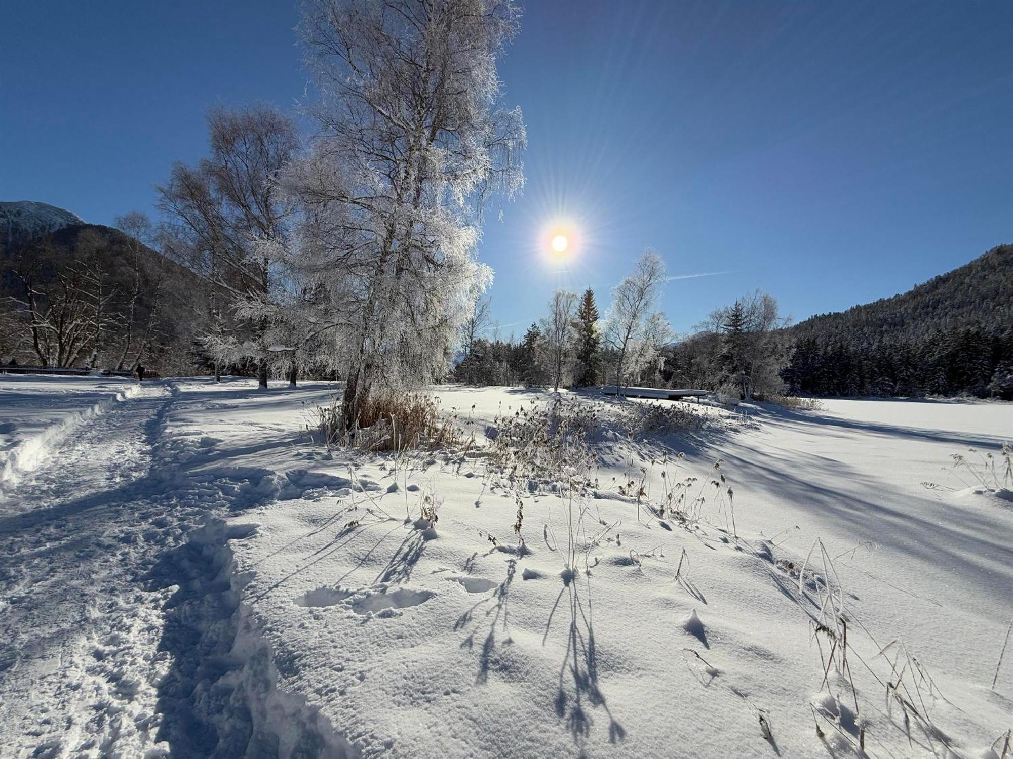 Bio Ferienwohnung Am Wildsee In Seefeld Mit E-Ladestation Зефельд-ін-Тіроль Екстер'єр фото